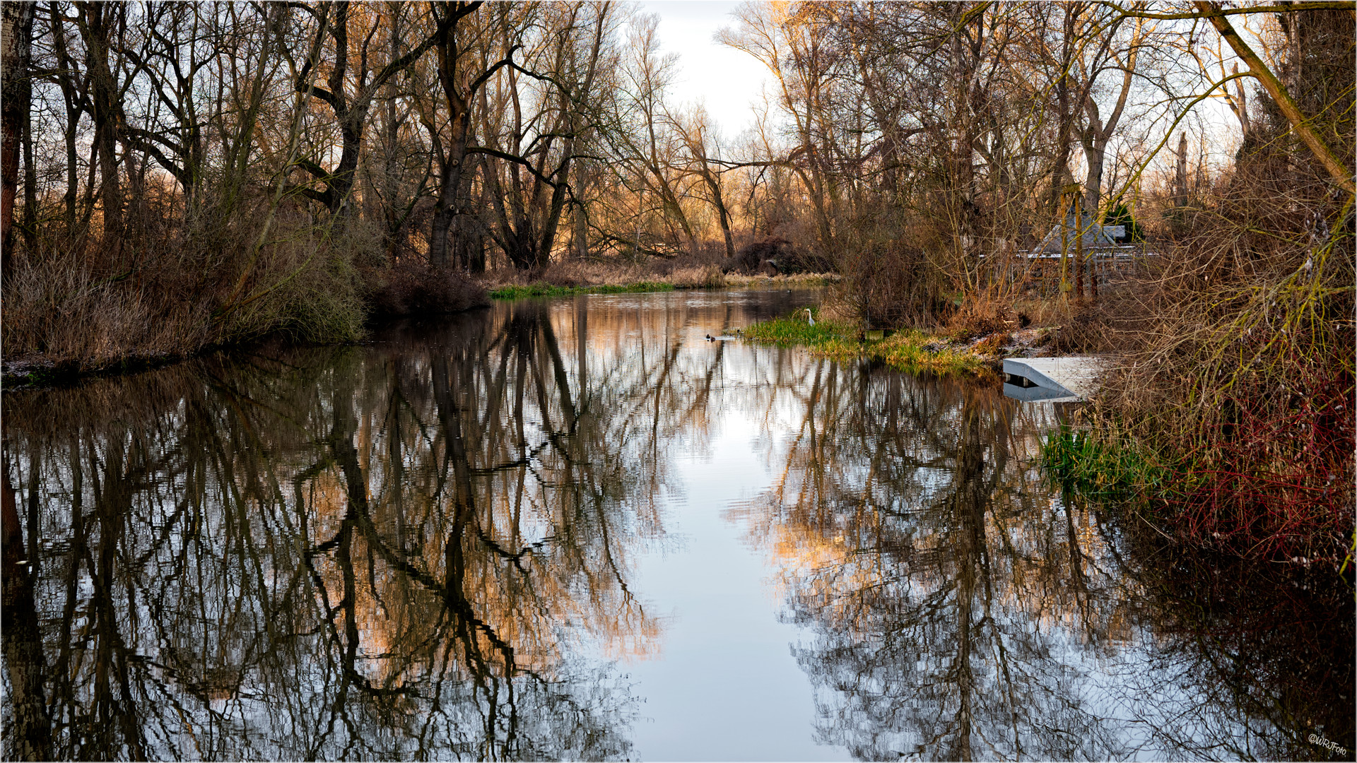 An der Bode