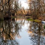 An der Bode