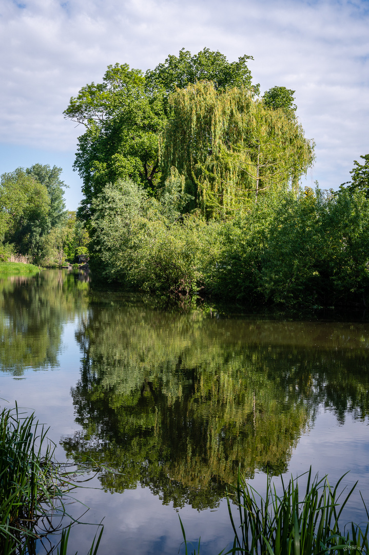 An der Bode