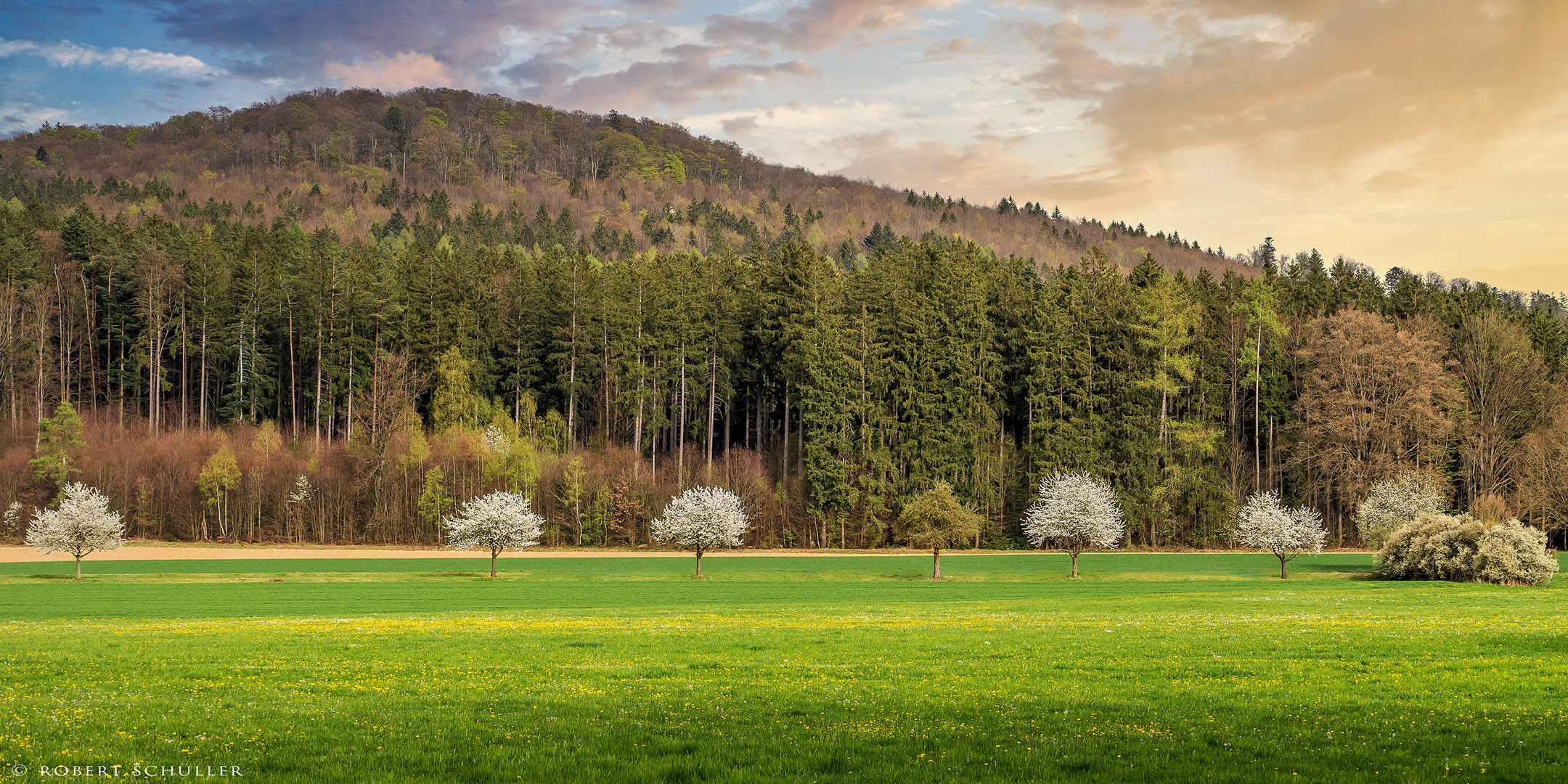 An der böhmischen Grenz.