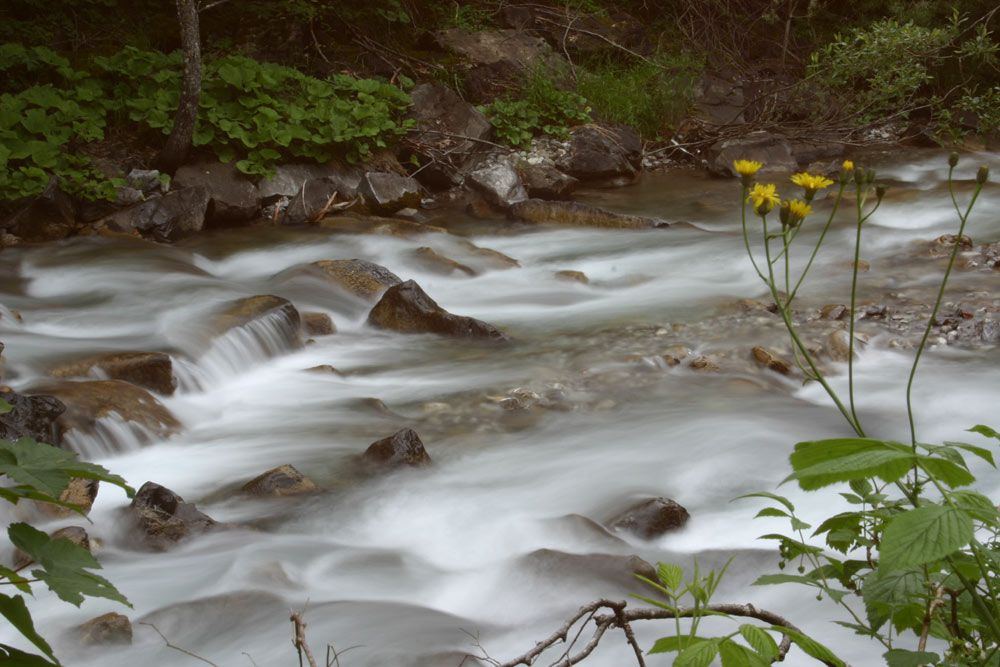 An der Breitach (Kleinwalsertal)