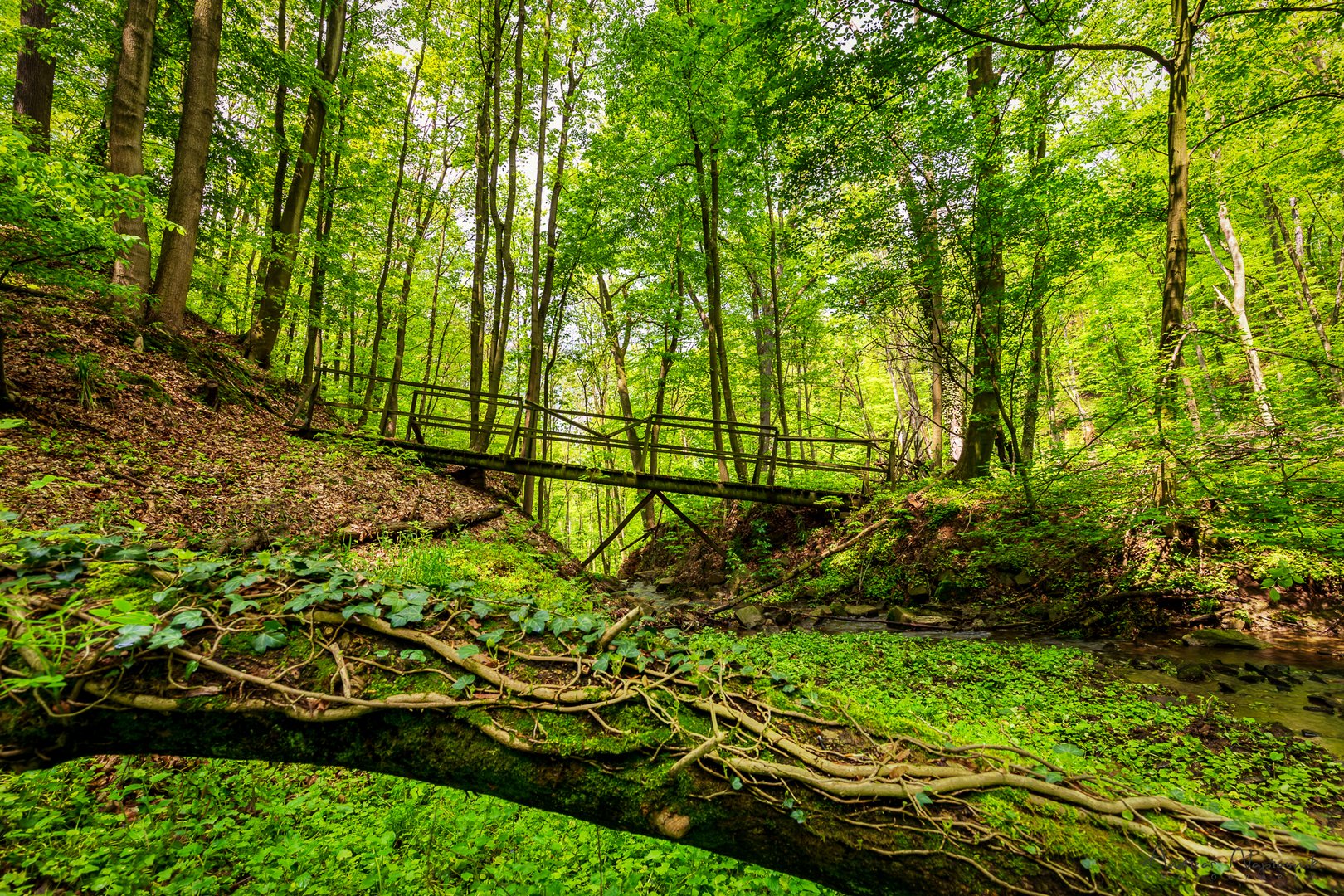 An der Brücke