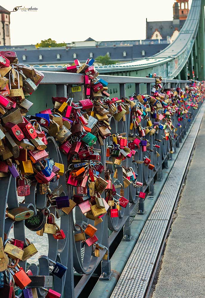 An der Brücke " Eiserner Steg " mitten in Frankfurt a.M. ....