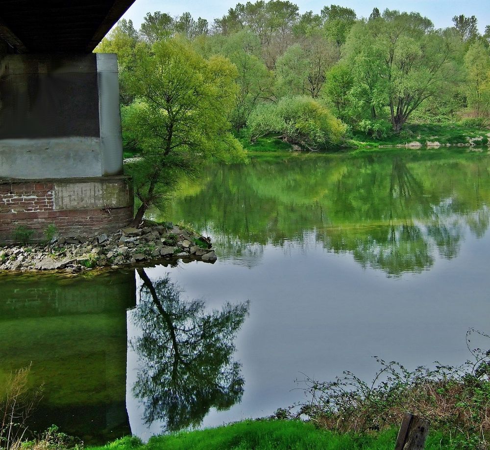 an der Brücke nach Frankreich in Neuenburg am Rhein