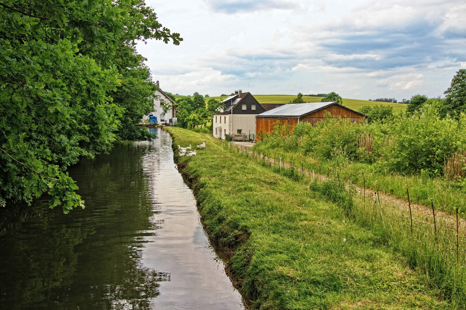 An der Büchermühle II