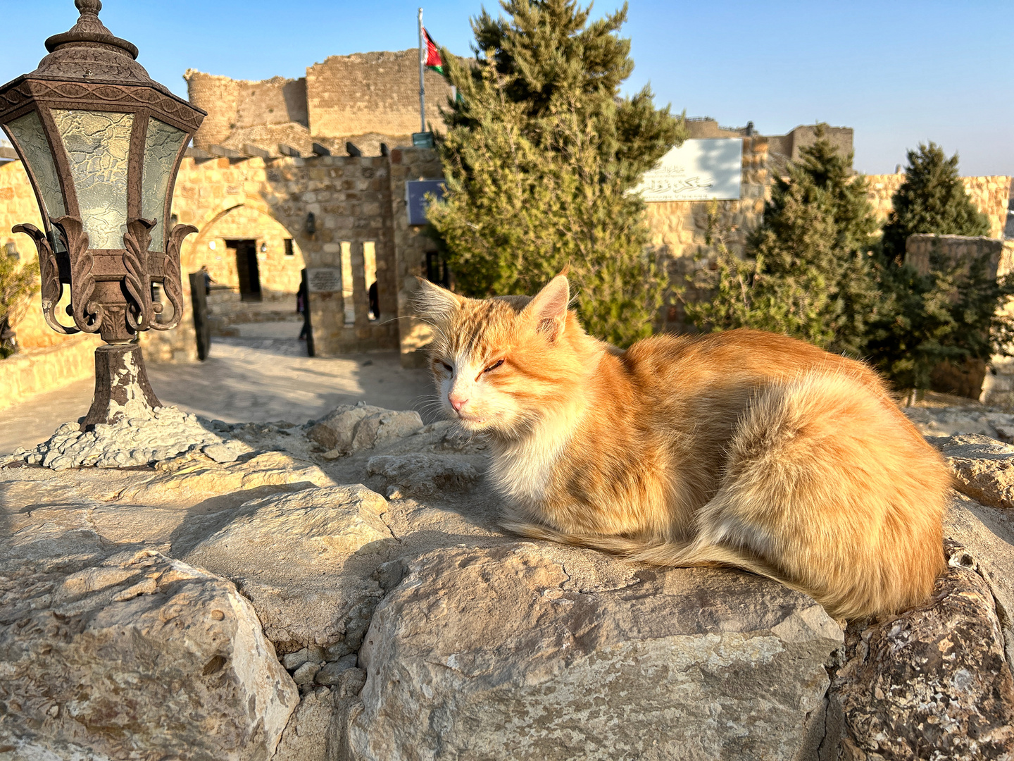 an der Burg Ajloun