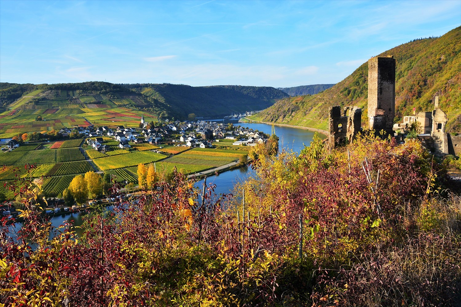 An der Burgruine