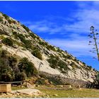 An der Cala San Vincente bei Pollensa