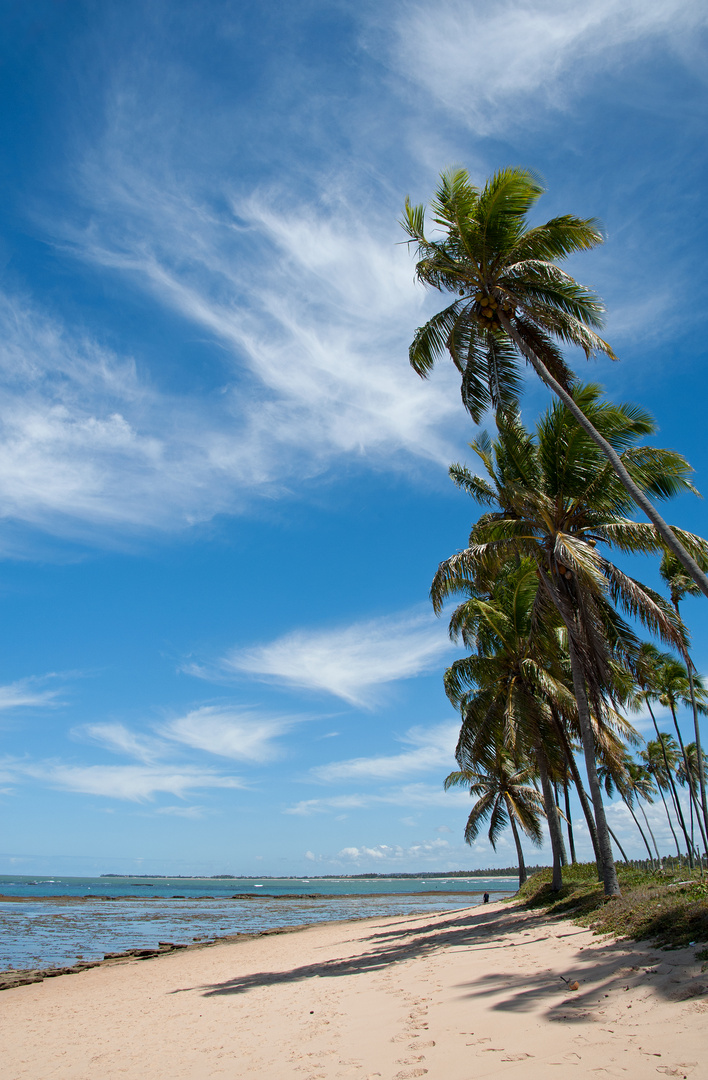 An der Costa dos Coqueiros