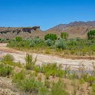 An der Cottonwood-Canyon-Road