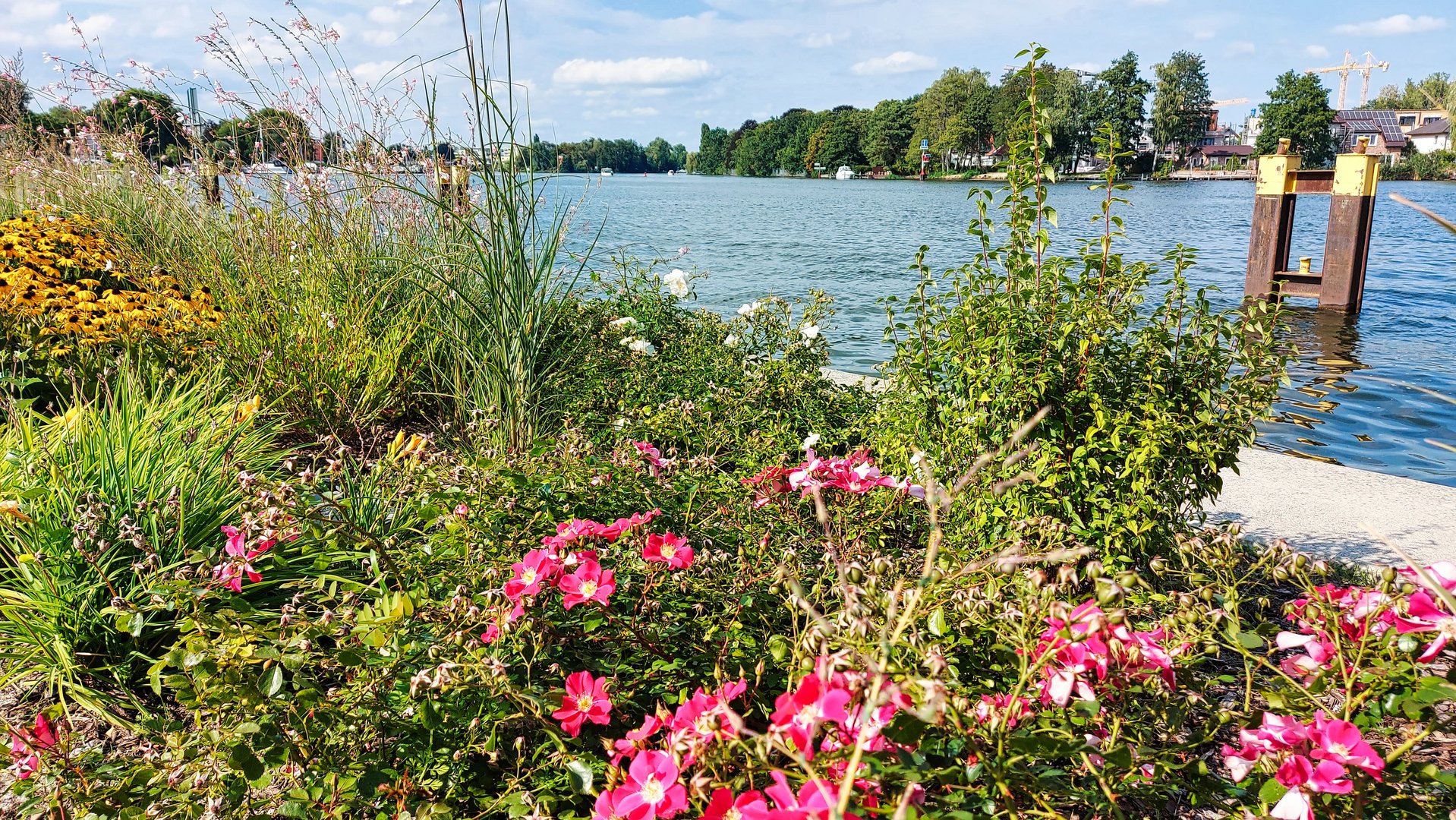 an der Dahme im Sommer