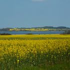 An der Dassower See