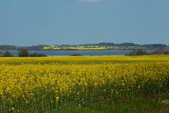 An der Dassower See