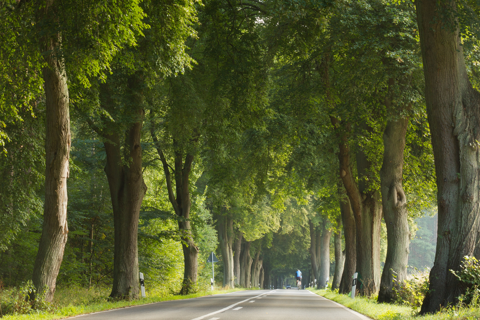 an der Deutschen Alleenstrasse