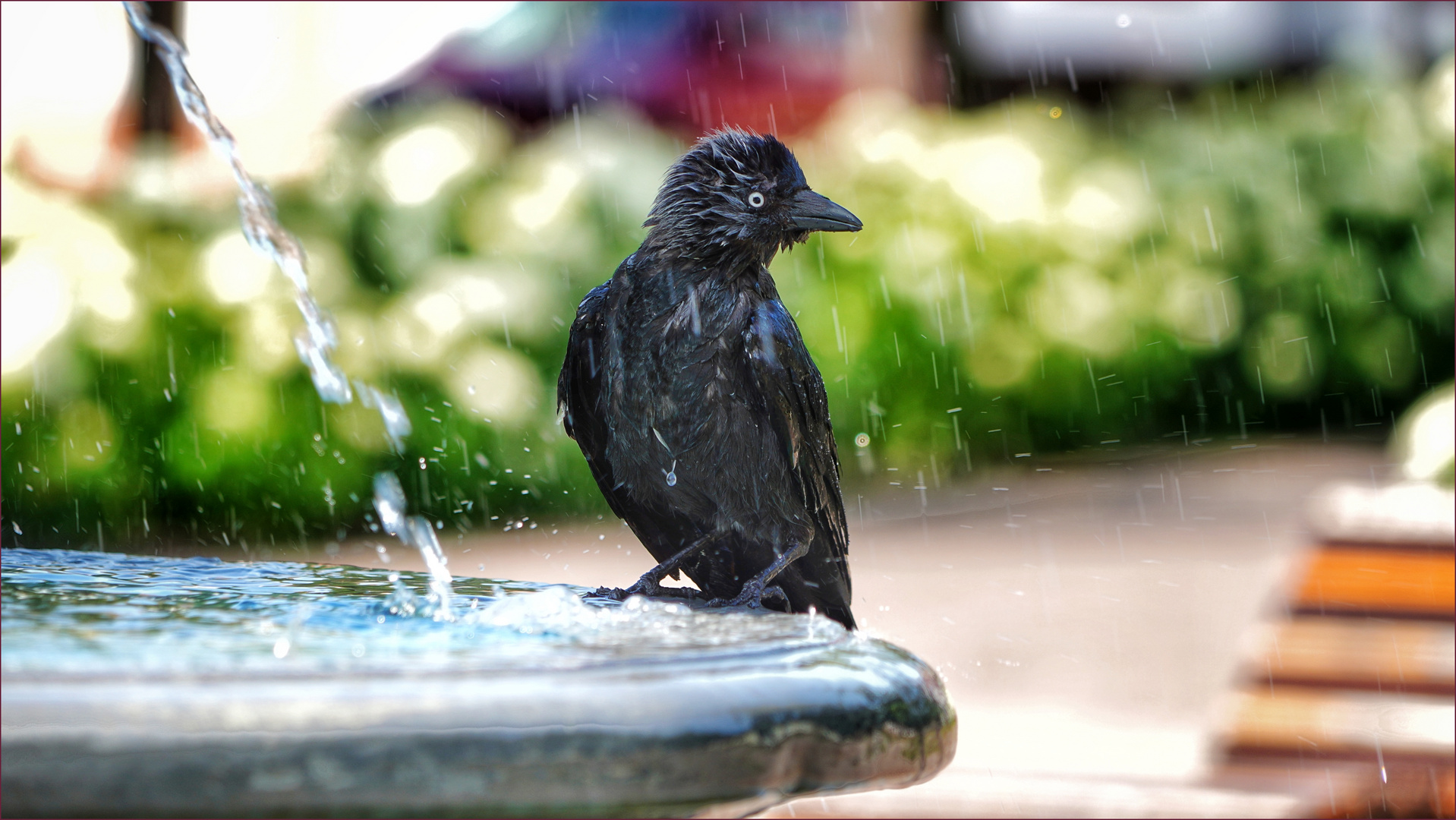 an der Dohlen-Dusche ...