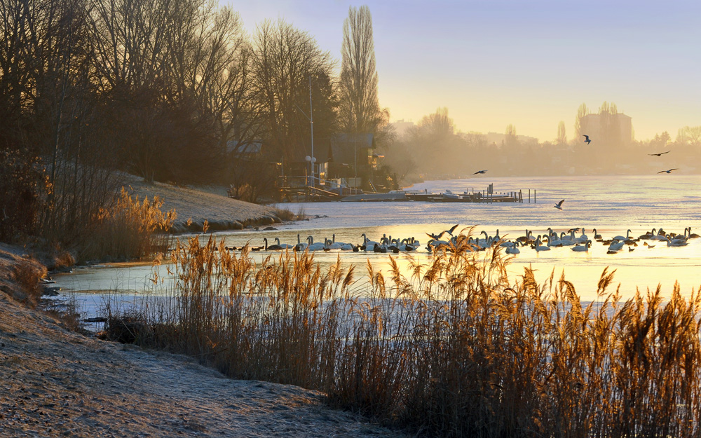 an der Donau