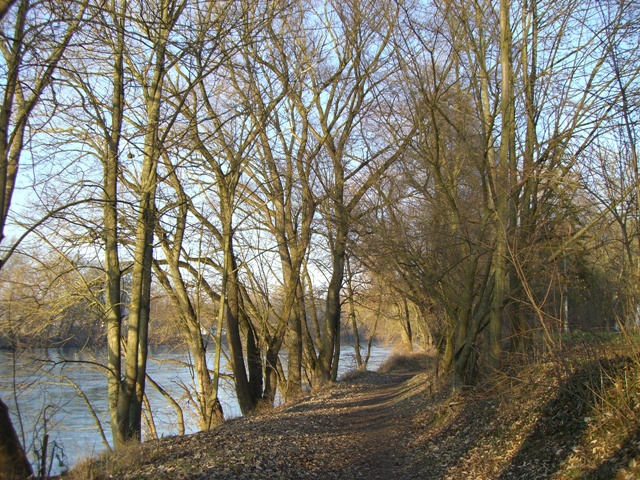 An der Donau