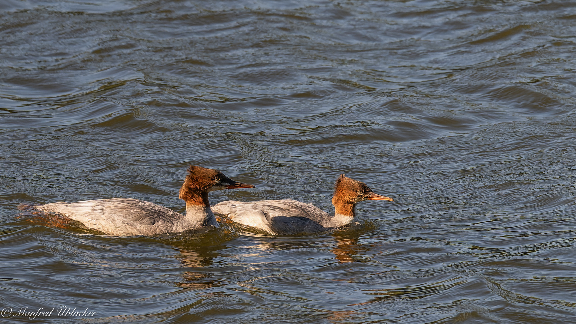 An der Donau ...