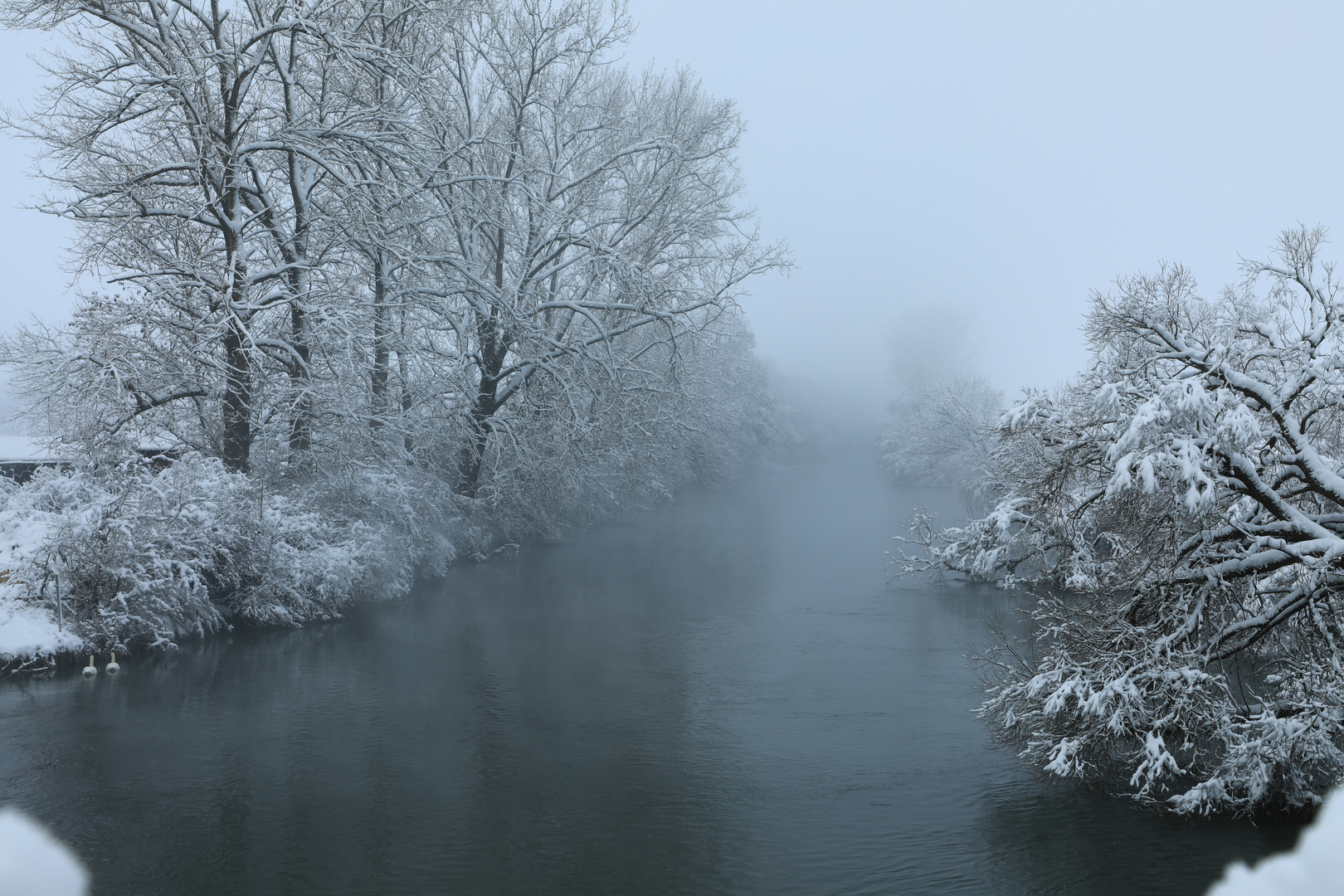 An der Donau bei Blochingen 