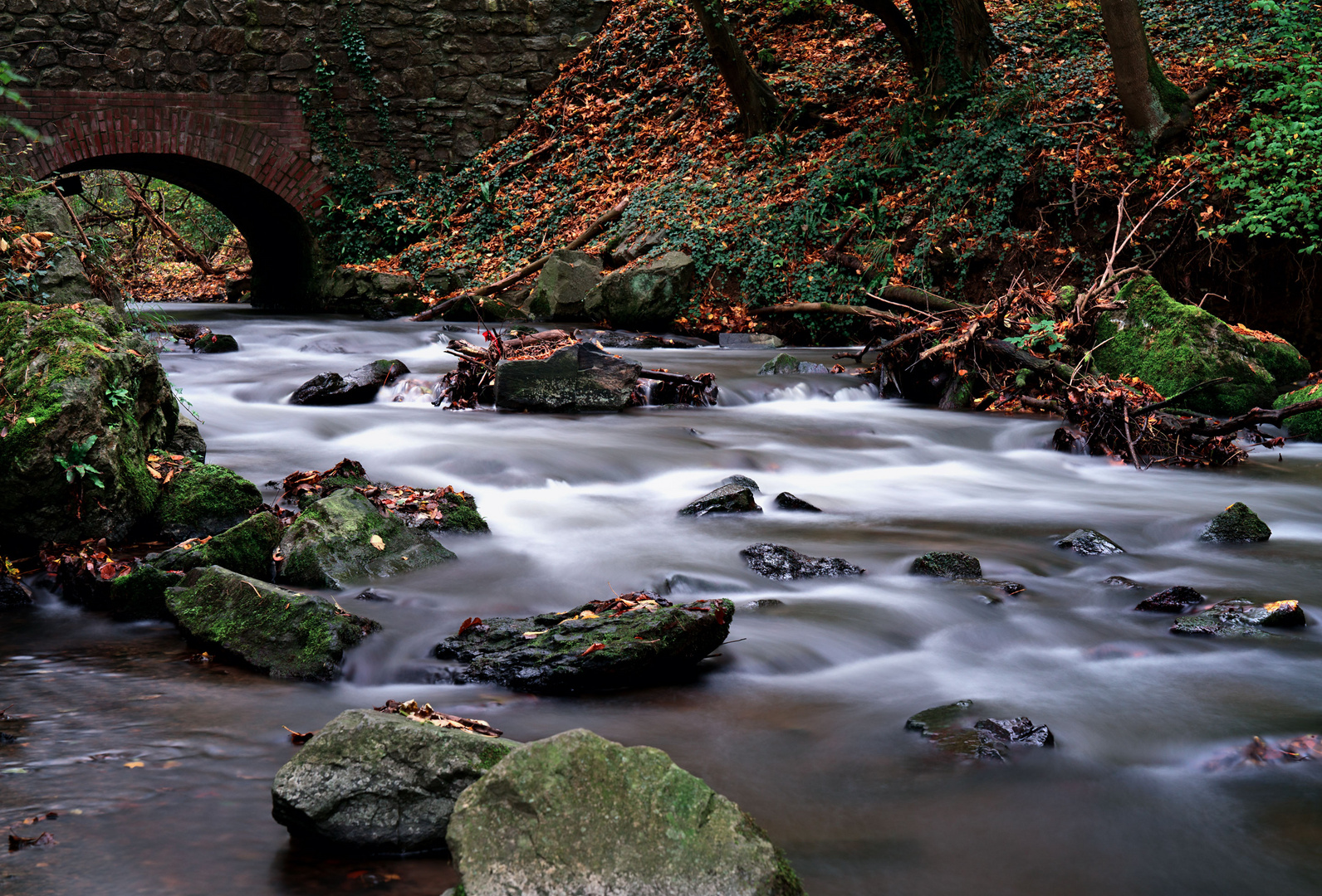 an der Düssel im Neandertal