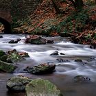 an der Düssel im Neandertal