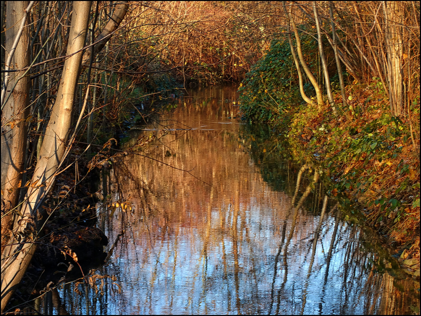 An der Düssel im Südpark