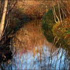 An der Düssel im Südpark