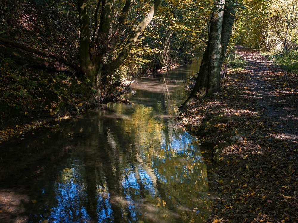 An der Düssel unterwegs