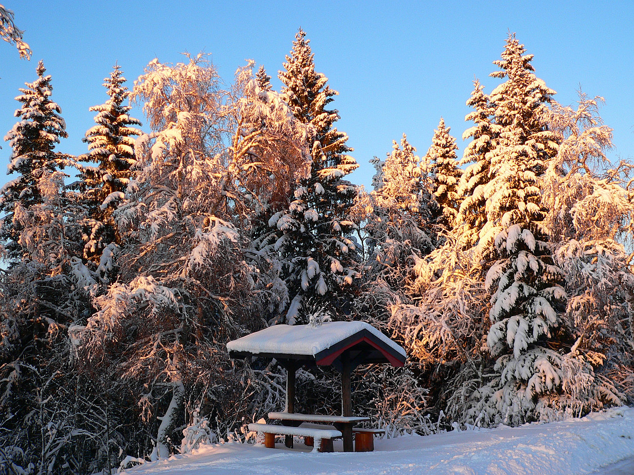 an der E6 zwischen Mo i Rana und Narvik