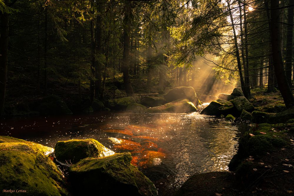 An der Ecker im Harz