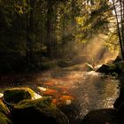 An der Ecker im Harz