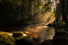 An der Ecker im Harz