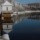 An der Eckertalsperre im Winter