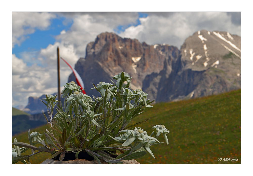 An der Edelweißhütte