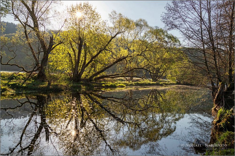 An der Eder im Wittgensteiner Land