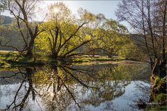 An der Eder im Wittgensteiner Land