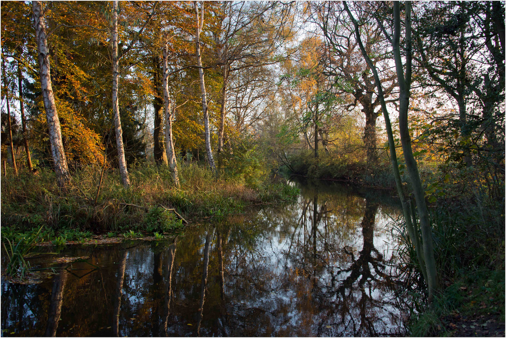 An der Eider