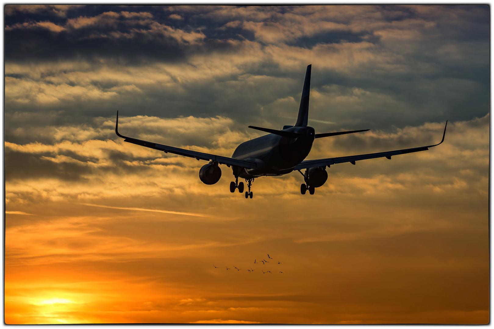 An der Einflugschneise Düsseldorfer Flughafen Foto & Bild | luftfahrt
