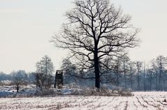 an der Eismeerstrasse