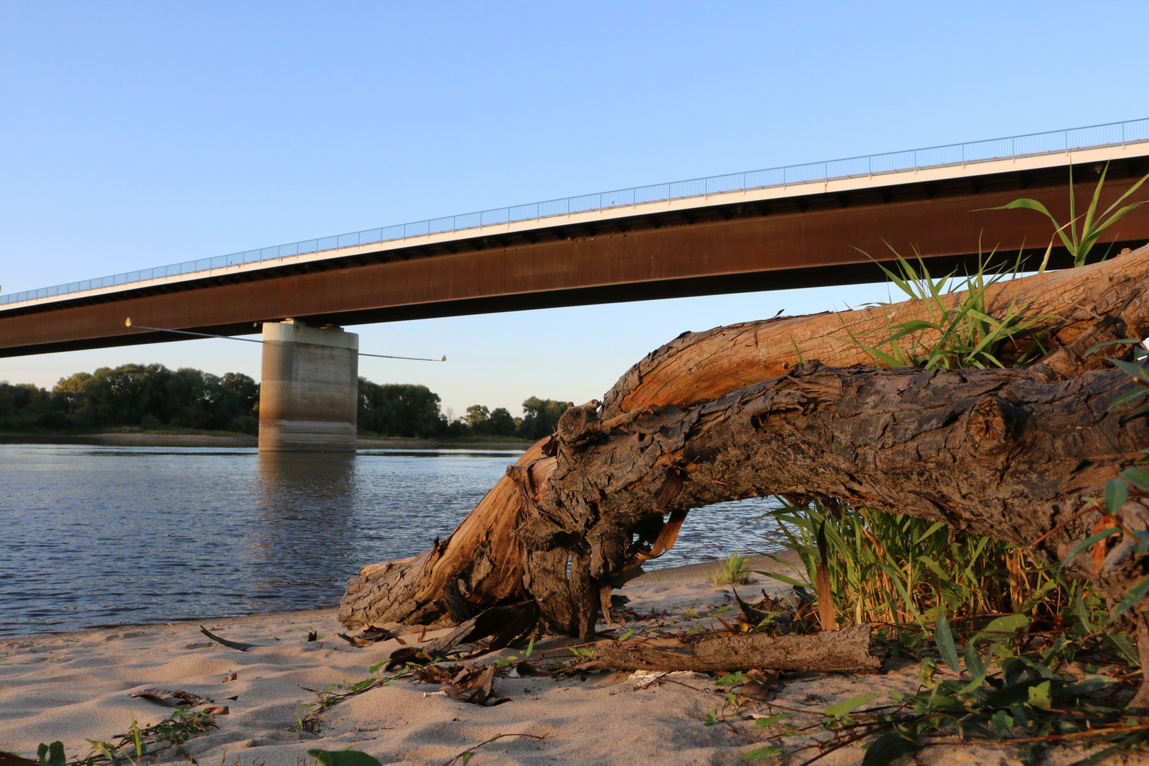 An der Elbe