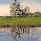 An der Elbe