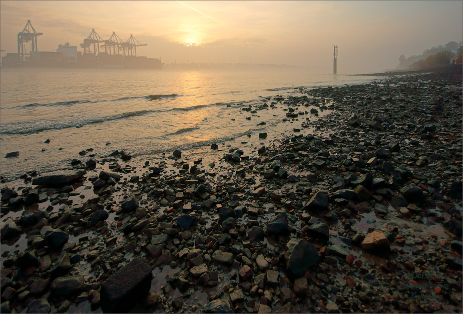 An der Elbe (11)