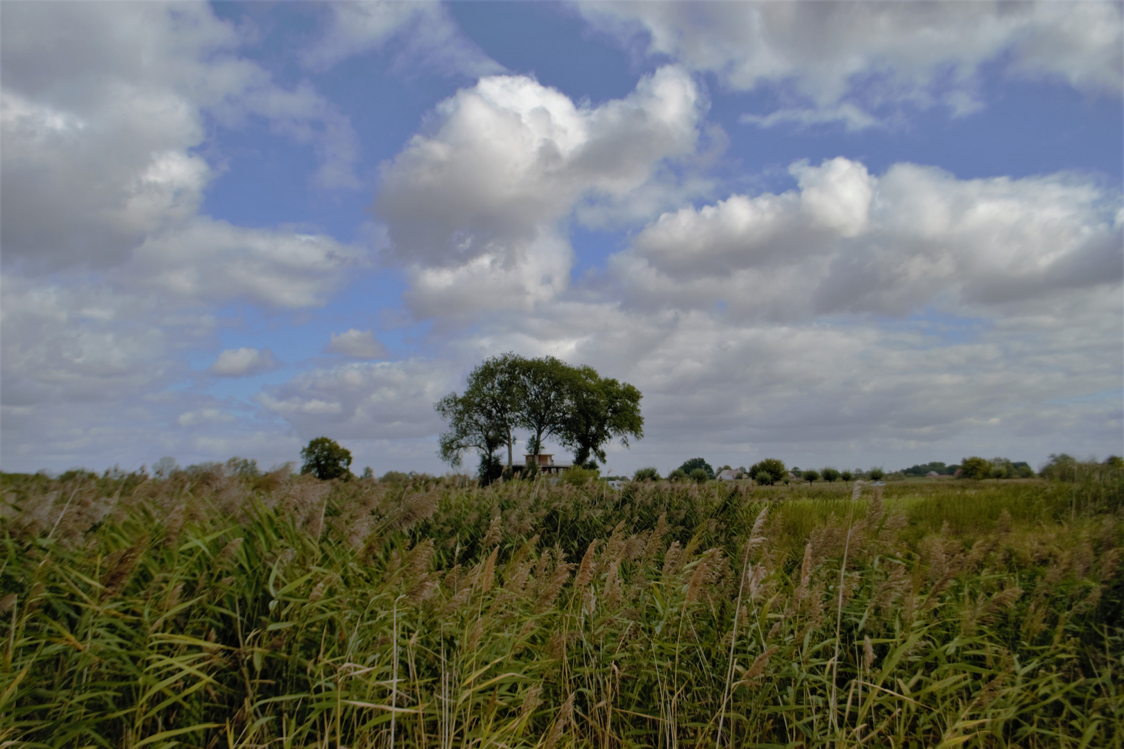 An der Elbe (2)