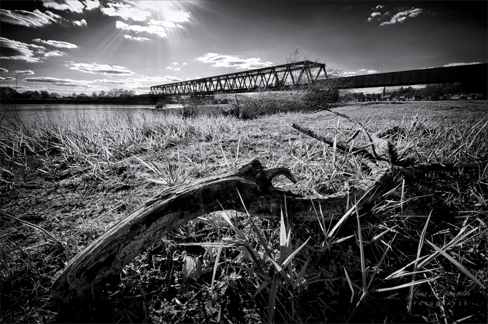 An der Elbe (25)