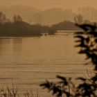 An der Elbe (28)