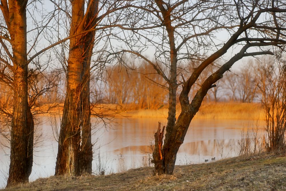 an der Elbe 3