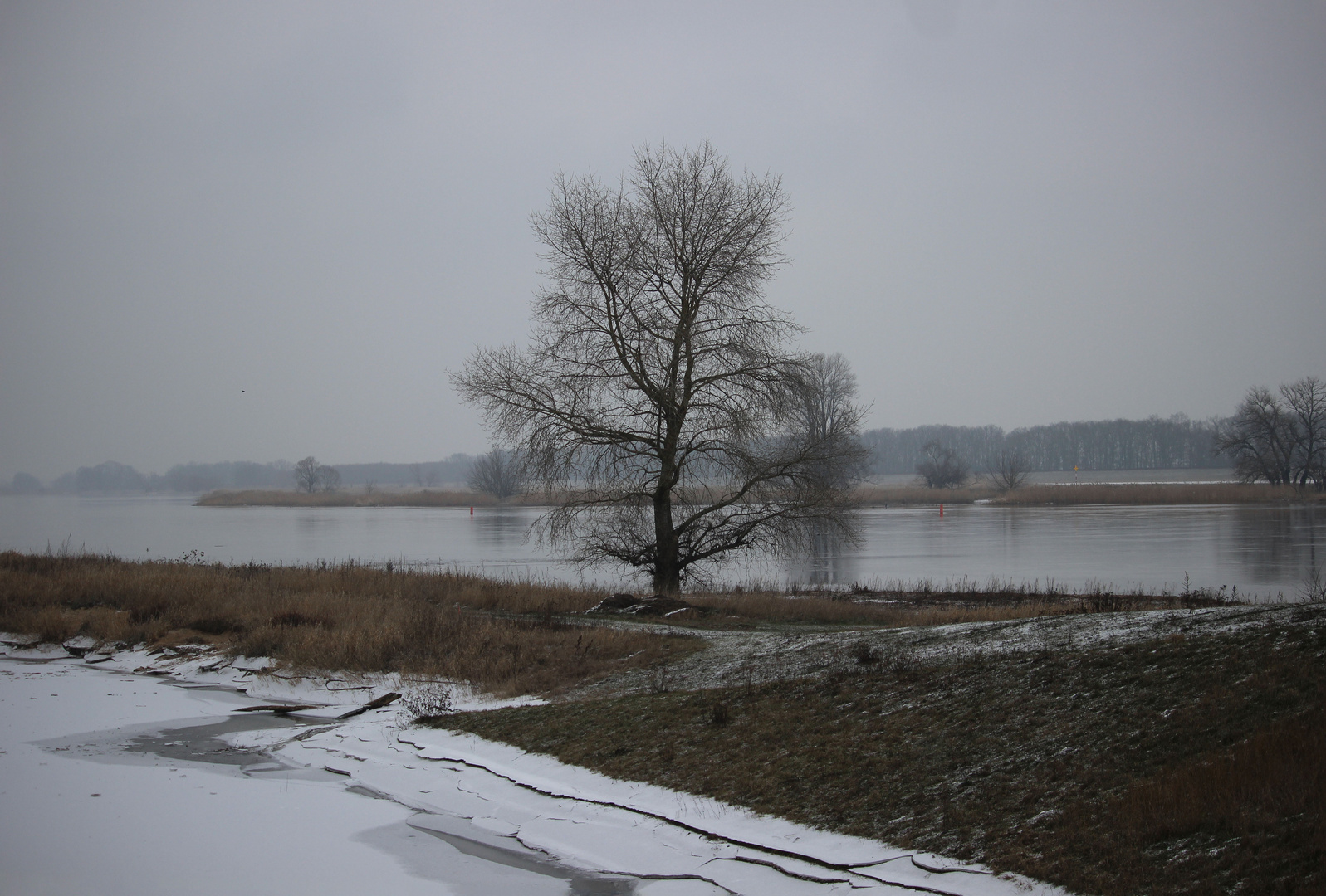 An der Elbe