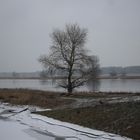 An der Elbe