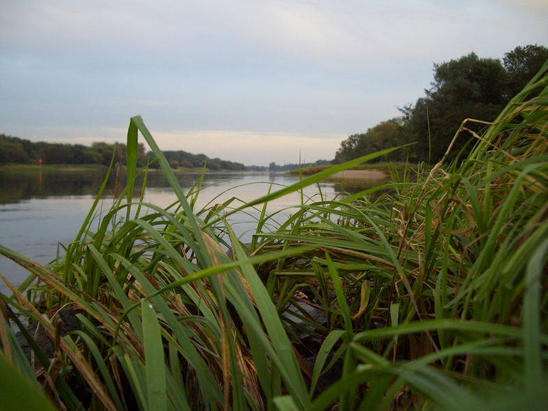 An der Elbe...