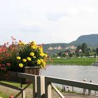 An der Elbe